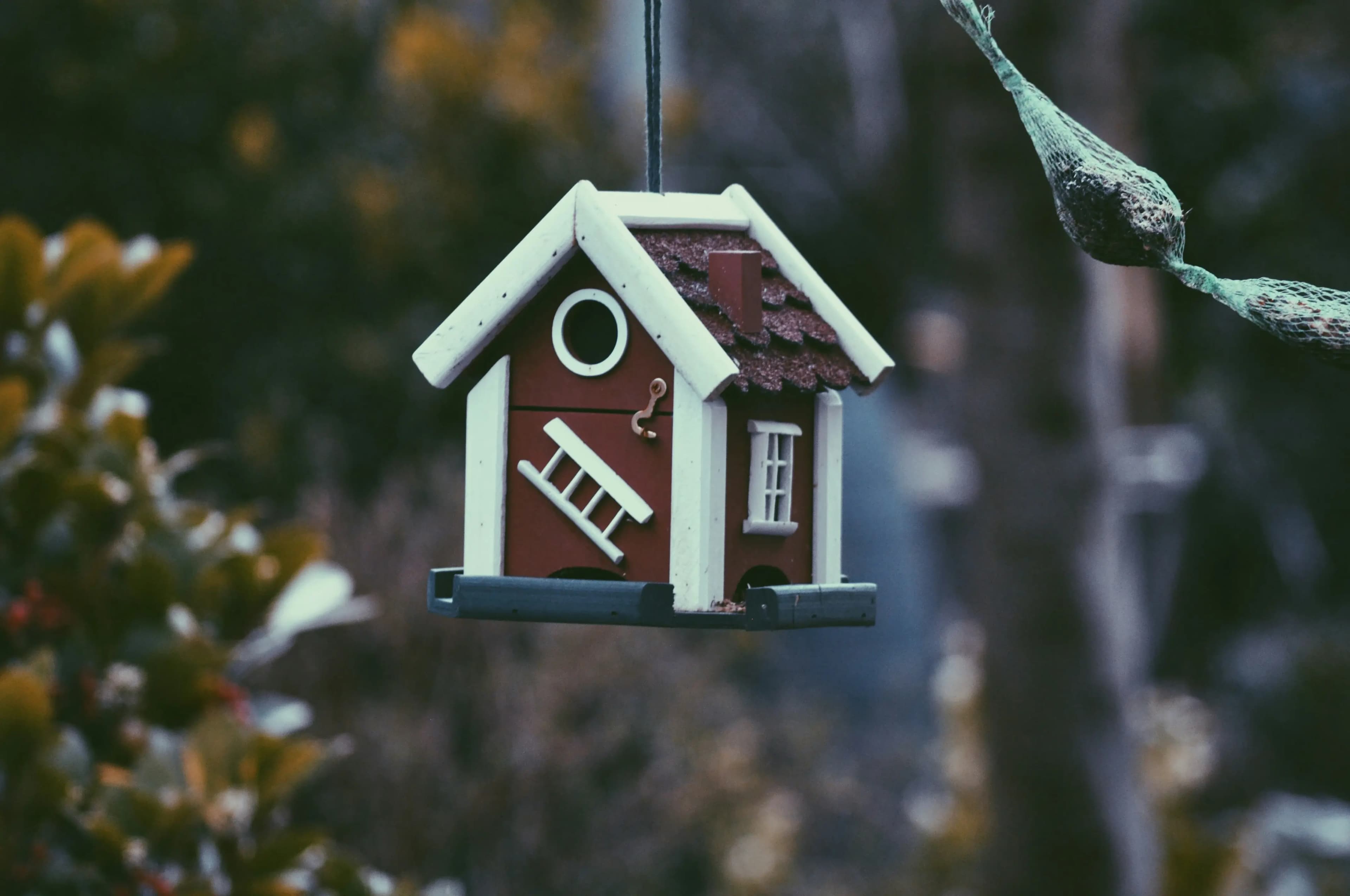 house home